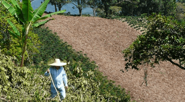 Behind the Beans: La Loma from Colombia