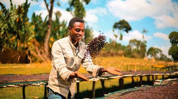 Behind the Beans: Ethiopia Sidama Keramo